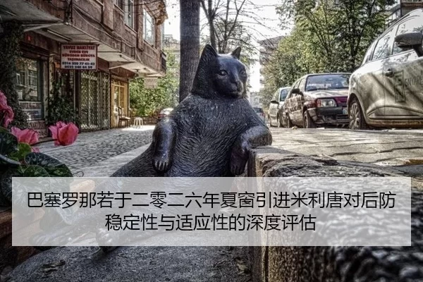 ba-sai-luo-na-ruo-yu-er-ling-er-liu-nian-xia-chuang-yin-jin-mi-li-tang-dui-hou-fang-wen-ding-xing-yu-shi-ying-xing-de-2-571.jpg